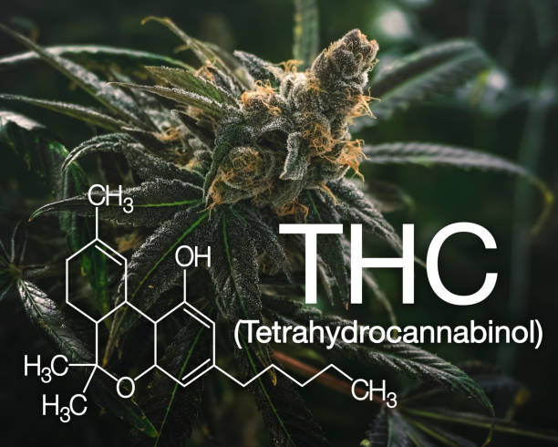 THC ТА CBD